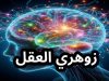 زوهري العقل زوهري العقل الإنسان الزوهري صاحب خصائص العقل