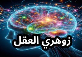 زوهري العقل زوهري العقل الإنسان الزوهري صاحب خصائص العقل