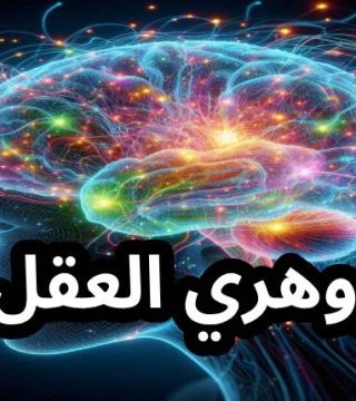 زوهري العقل زوهري العقل الإنسان الزوهري صاحب خصائص العقل