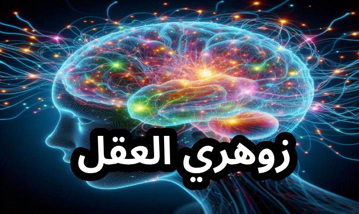 زوهري العقل زوهري العقل الإنسان الزوهري صاحب خصائص العقل